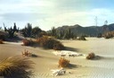 playa de genoveses
