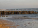 IMG_9724